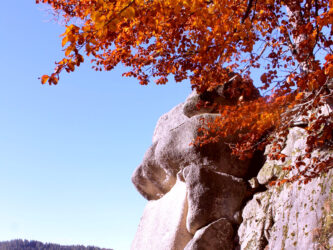 Mystischer Schwarzwald