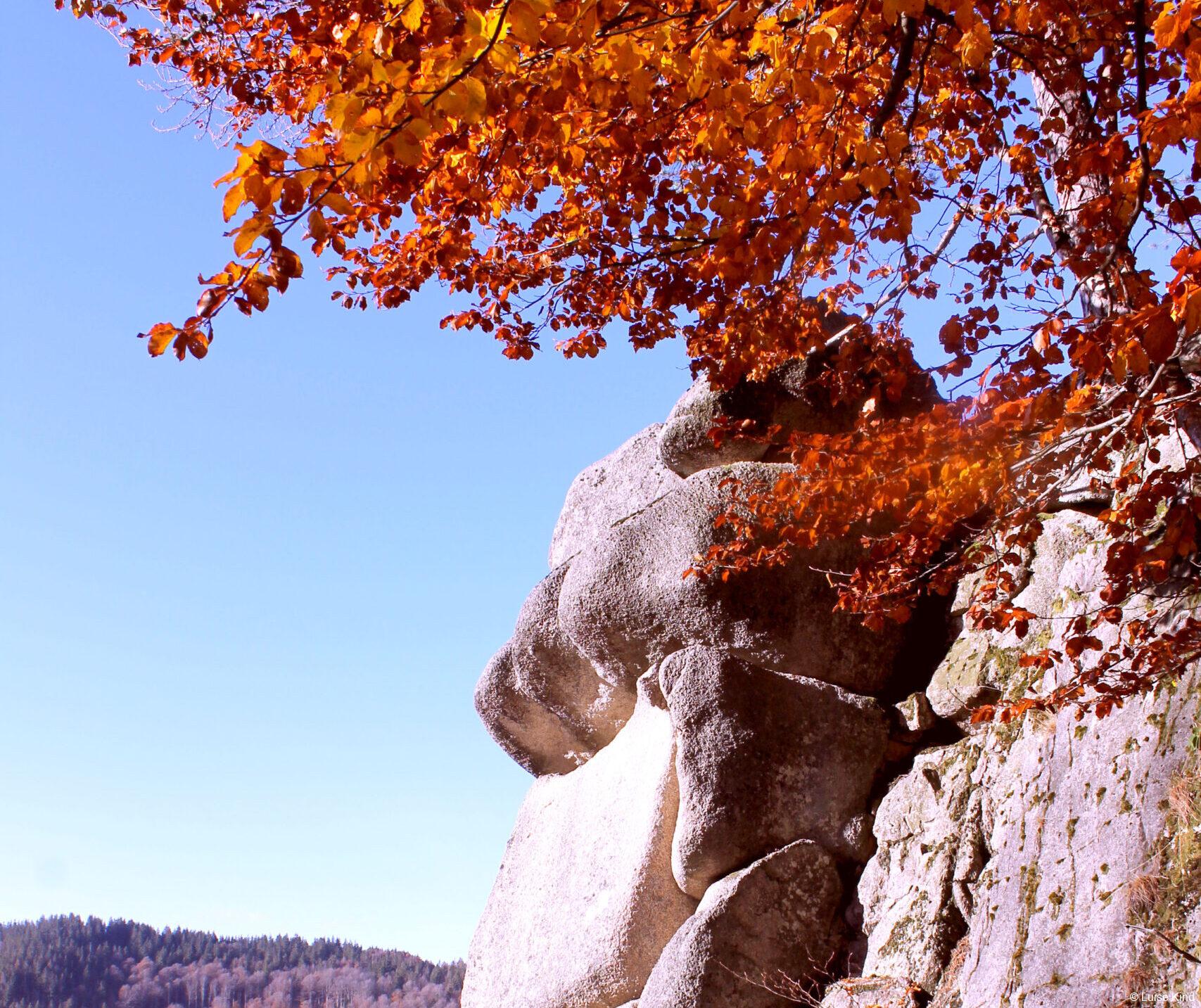 Mystischer Schwarzwald
